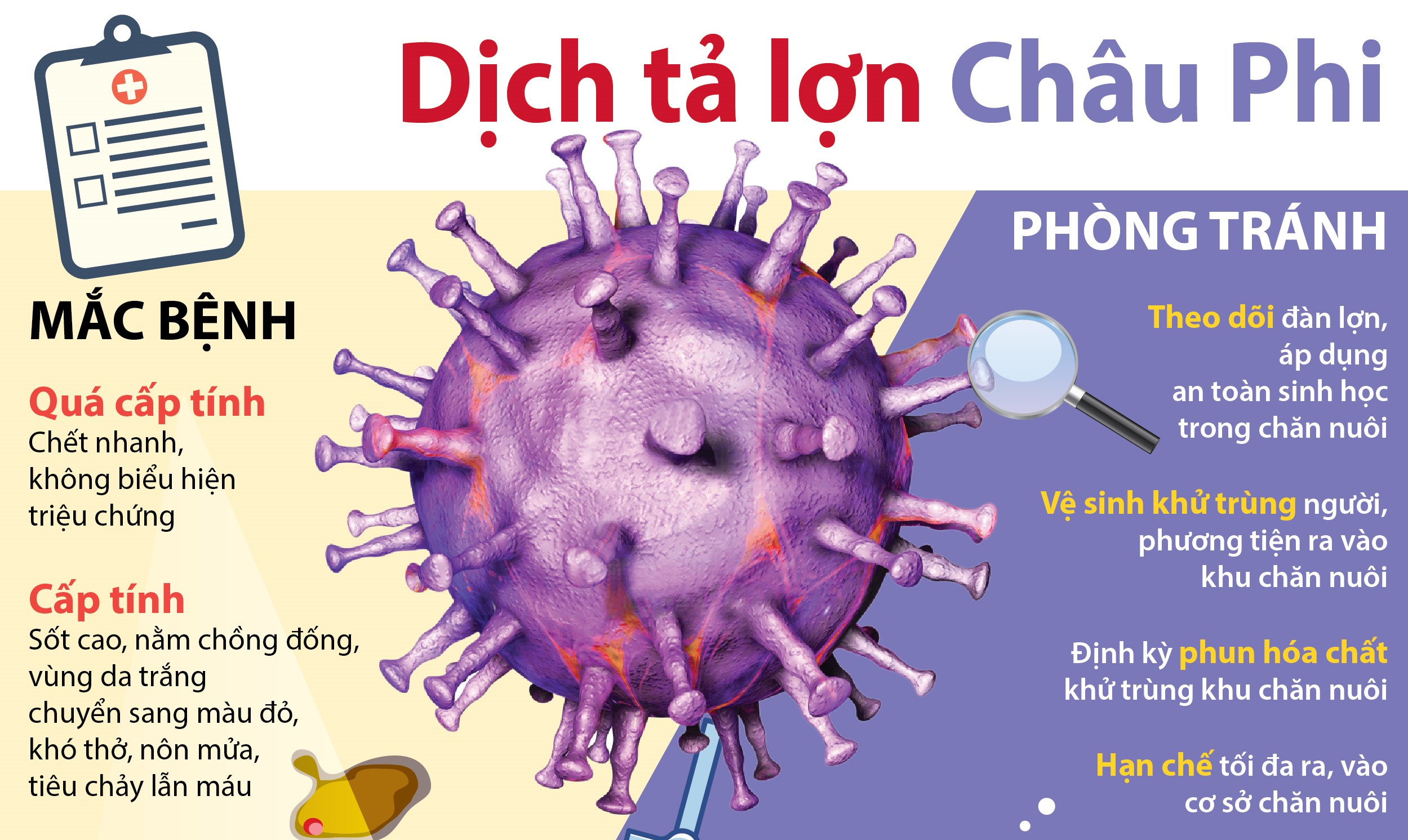 Tăng cường công tác phòng, chống bệnh Dịch tả lợn Châu Phi trên địa bàn tỉnh